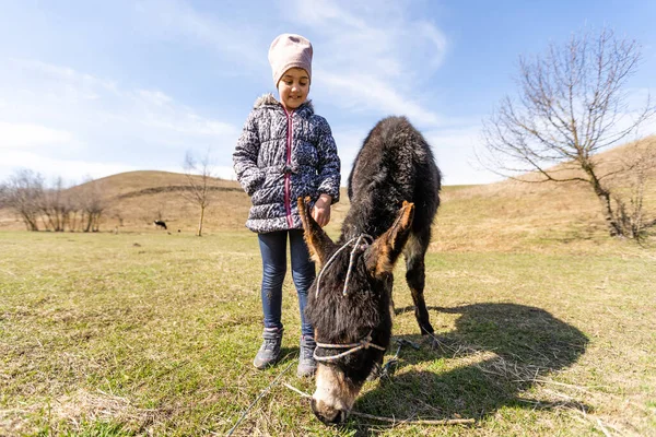 Porträt eines jungen Mädchens mit einem grauen Esel im Streichelzoo — Stockfoto