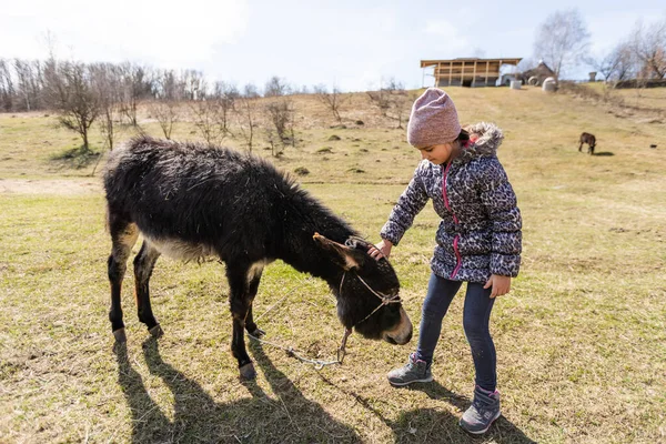 Kleines Mädchen streichelt einen Esel im Frühling — Stockfoto
