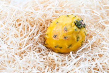 Pitahaya, Pitaya ya da samanlıkta Ejderha Meyvesi.