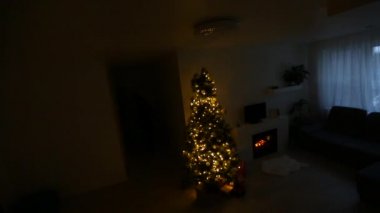 Hırsız olarak çekilen güvenlik kamerası daireyi dağıtıyor.