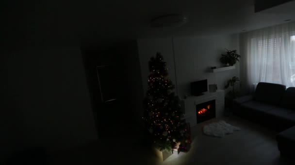 Övervakningskameran fångad som en tjuv bryter lägenheten jul — Stockvideo