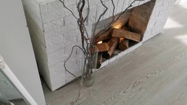 Diseño interior brillante y limpio de una sala de estar de lujo con pisos de madera, chimenea y sofá — Vídeos de Stock