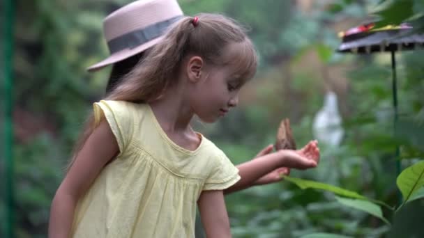 Niño sosteniendo mariposa moteado madera — Vídeo de stock