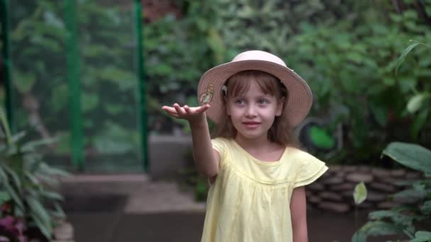 Niño de siete años con mariposa en el dedo — Vídeo de stock