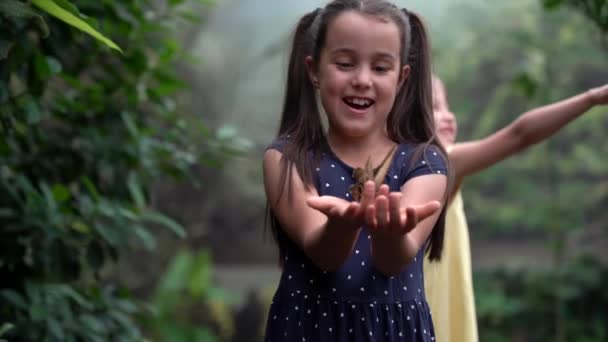 Το παιδί βλέπει πεταλούδα στον τροπικό κήπο. Κοριτσάκι ταΐζει εξωτικές πεταλούδες — Αρχείο Βίντεο