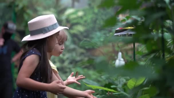 Dívky chytající motýly se sítí na zelené louce ve zpomaleném filmu — Stock video