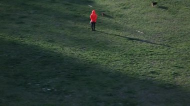 İki köpek onun sahibiyle eğleniyor. İki Köpeğin çimenlerde oynaması eğlencelidir. İki sevimli köpek bahçede birlikte oynuyorlar..