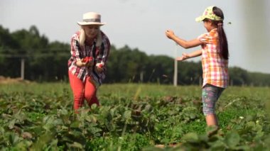 Anne ve küçük kızı çilek parkında.