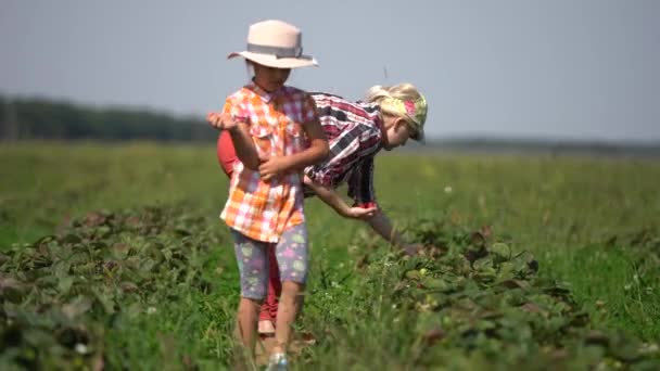 Šťastná rodina. Matka a dcera se společně baví na bio farmě v teplém slunečném dni. — Stock video