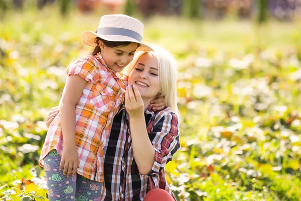 Красива молода біла мати зі своєю дочкою підбирає полуницю в полі — стокове фото