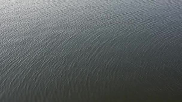 波紋と太陽光の反射を持つ水面 — ストック動画