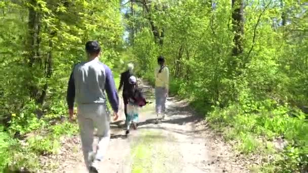 Trilha de caminhada Caminho de caminhada na floresta de pinheiros verde selvagem movendo-se para trás — Vídeo de Stock