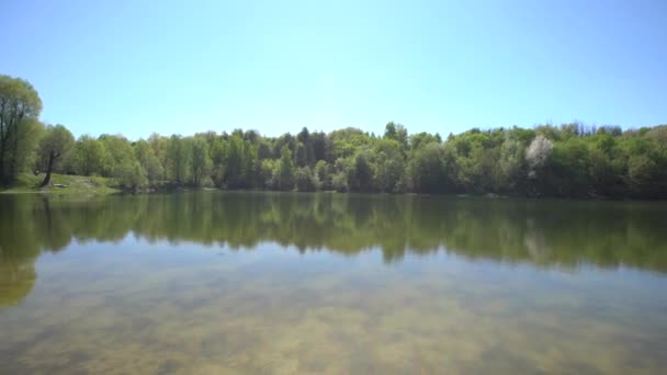 Estanque lago abandonado en el bosque — Vídeos de Stock