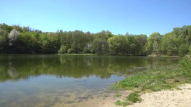 Ormandaki terk edilmiş göl göleti