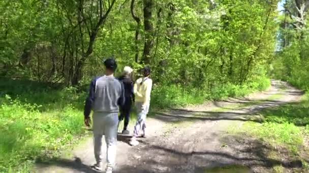 Az emberek az erdőben sétálnak. — Stock videók