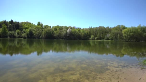 Estanque lago abandonado en el bosque — Vídeos de Stock