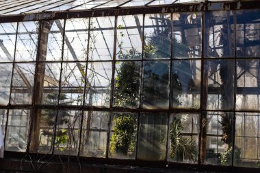 Atölye fabrikasının büyük pencereleri