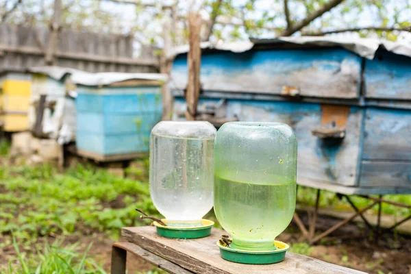 Pszczoły w pasiece piją wodę od pijącego — Zdjęcie stockowe