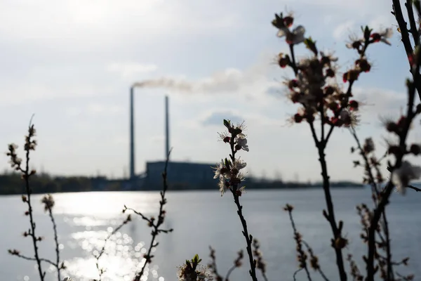 Panorámás kilátás az erőműre Lukomlskaya Gres. Az erőmű füstjével teli kémények. Ökológiai probléma. Környezetszennyezés fogalma. — Stock Fotó