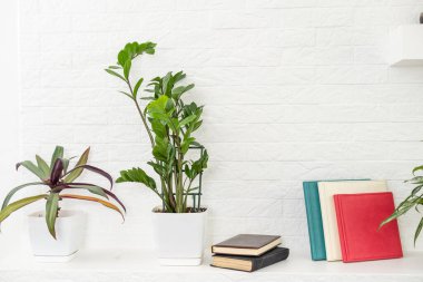 Beyaz arkaplan üzerine kitap yığını