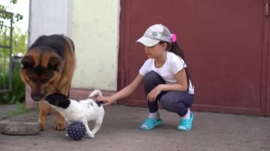 Mutlu küçük kız bahçede iki köpekle oynuyor. # Güneşli bir yaz gününde iki köpek avluda #