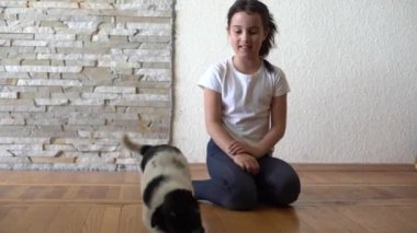 Gülümseyen güzel bir köpek yavrusunun portresi.