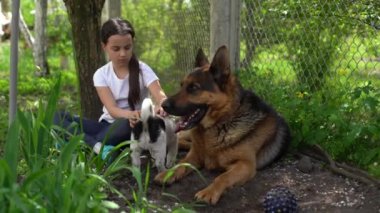 Mutlu küçük kız bahçede iki köpekle oynuyor. # Güneşli bir yaz gününde iki köpek avluda #