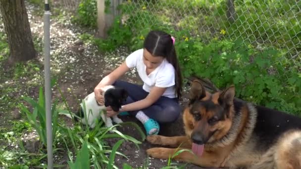 Mutlu küçük kız bahçede iki köpekle oynuyor. # Güneşli bir yaz gününde iki köpek avluda # — Stok video