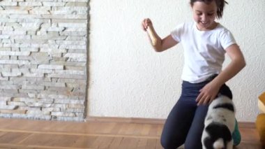 Gülümseyen güzel bir köpek yavrusunun portresi.