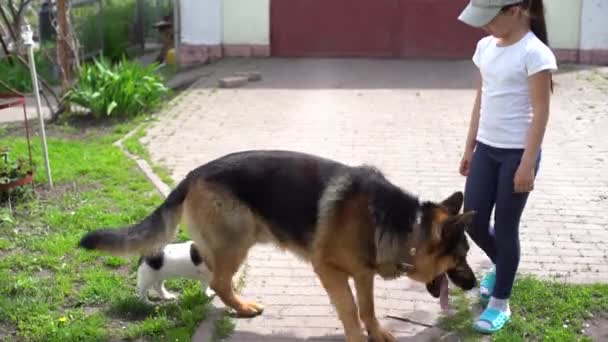 Köpeği Alman çoban köpeği olan neşeli küçük kız. — Stok video