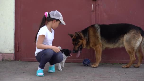 Mutlu küçük kız bahçede iki köpekle oynuyor. Güneşli bir yaz günü çimenlikte iki köpekle — Stok video