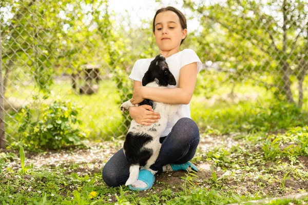 Uma menina está brincando e está treinando um cachorrinho. o cão dá-lhe uma pata — Fotografia de Stock