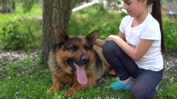 Fröhliches kleines Mädchen mit Hund Deutscher Schäferhund — Stockvideo