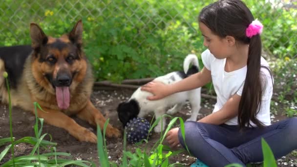 Mutlu küçük kız bahçede iki köpekle oynuyor. # Güneşli bir yaz gününde iki köpek avluda # — Stok video