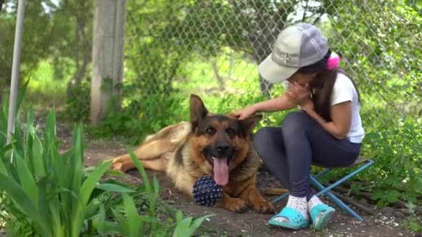 Alegre niña con un perro pastor alemán — Vídeos de Stock