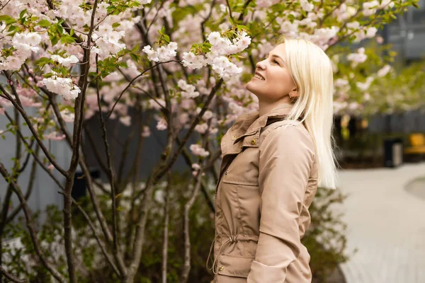 Vacker kvinna i körsbärsträdgården, vårtid — Stockfoto