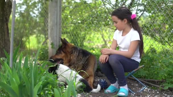 Alegre niña con un perro pastor alemán — Vídeos de Stock