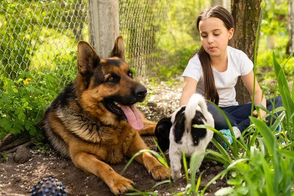 Menina feliz brincando com dois cães no jardim. menina em um dia ensolarado de verão com dois cães em um gramado — Fotografia de Stock