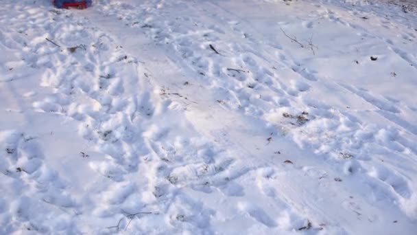 Маленька дівчинка спускається на льоду спускається в зимовий засніжений пагорб — стокове відео