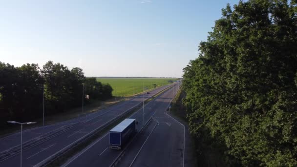 Vrachtwagen vanuit de lucht bekijken. Grote Levering Truck is in beweging. Luchtfoto van een vrachtwagen op de weg in het mooie platteland. Luchtfoto van Semi-truck op de weg in het veld van Lente in Europa — Stockvideo