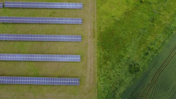 Letecký pohled na solární panely Farm solární článek se slunečním světlem. Let dronem přes pole solárních panelů, koncept obnovitelné zelené alternativní energie. — Stock video