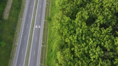 Güneşli bir yaz gününde ormanı geçen yol. Hava manzaralı. Tarlaya giden yol
