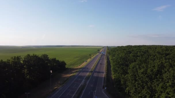 Weg door het bos op een zonnige zomerdag. vanuit de lucht gezien. weg naar het veld — Stockvideo