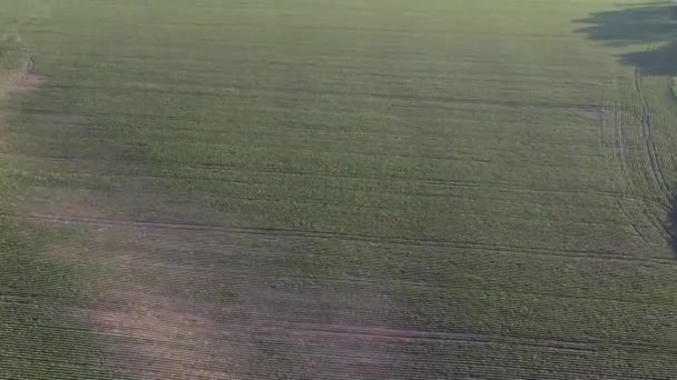 Big dump in the field aerial view — Stock Video