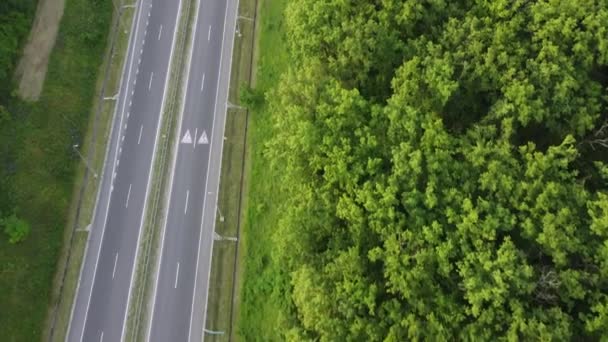 Estrada atravessando a floresta em um dia ensolarado de verão. Vista aérea. estrada para o campo — Vídeo de Stock