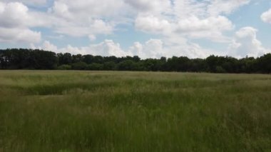 Gün batımında yeşil çimlerin üzerinde uçan hava videosu