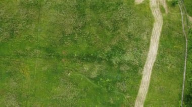 Çimleri biçilmiş bir çayırın havadan çekilmiş fotoğrafı. Uzun taze biçilmiş çimen çizgileri var. Dönüşümlü olarak aşağıya doğru iniyor.