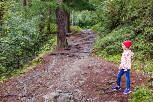 Crianças caminhando nas montanhas dos Alpes. As crianças olham para a montanha na Áustria. Férias com a família. Diversão ao ar livre e atividade saudável. — Fotografia de Stock