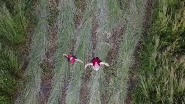 Mor och dotter håller gärna hand och springer över fältet — Stockvideo