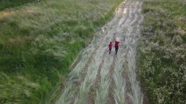 Mãe e filha felizes de mãos dadas e correndo pelo campo — Vídeo de Stock